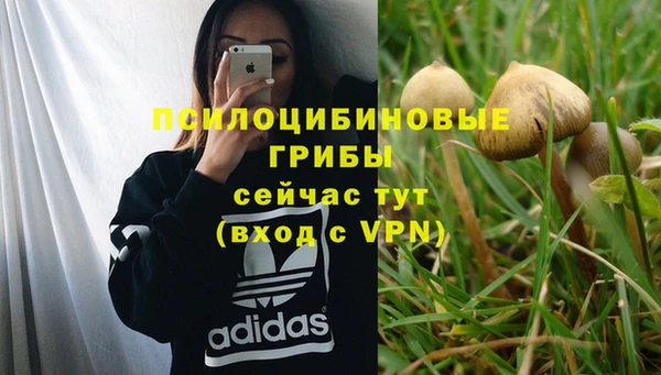 MDMA Верхний Тагил
