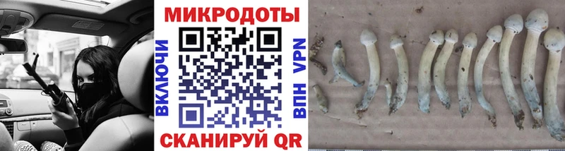 что такое наркотик  Рузаевка  Псилоцибиновые грибы мухоморы 