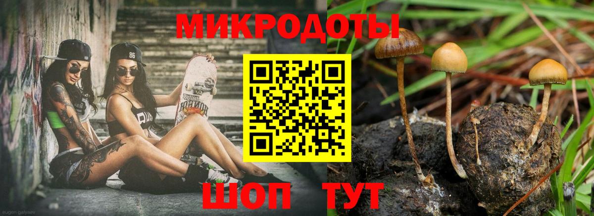 Галлюциногенные грибы мухоморы Рузаевка